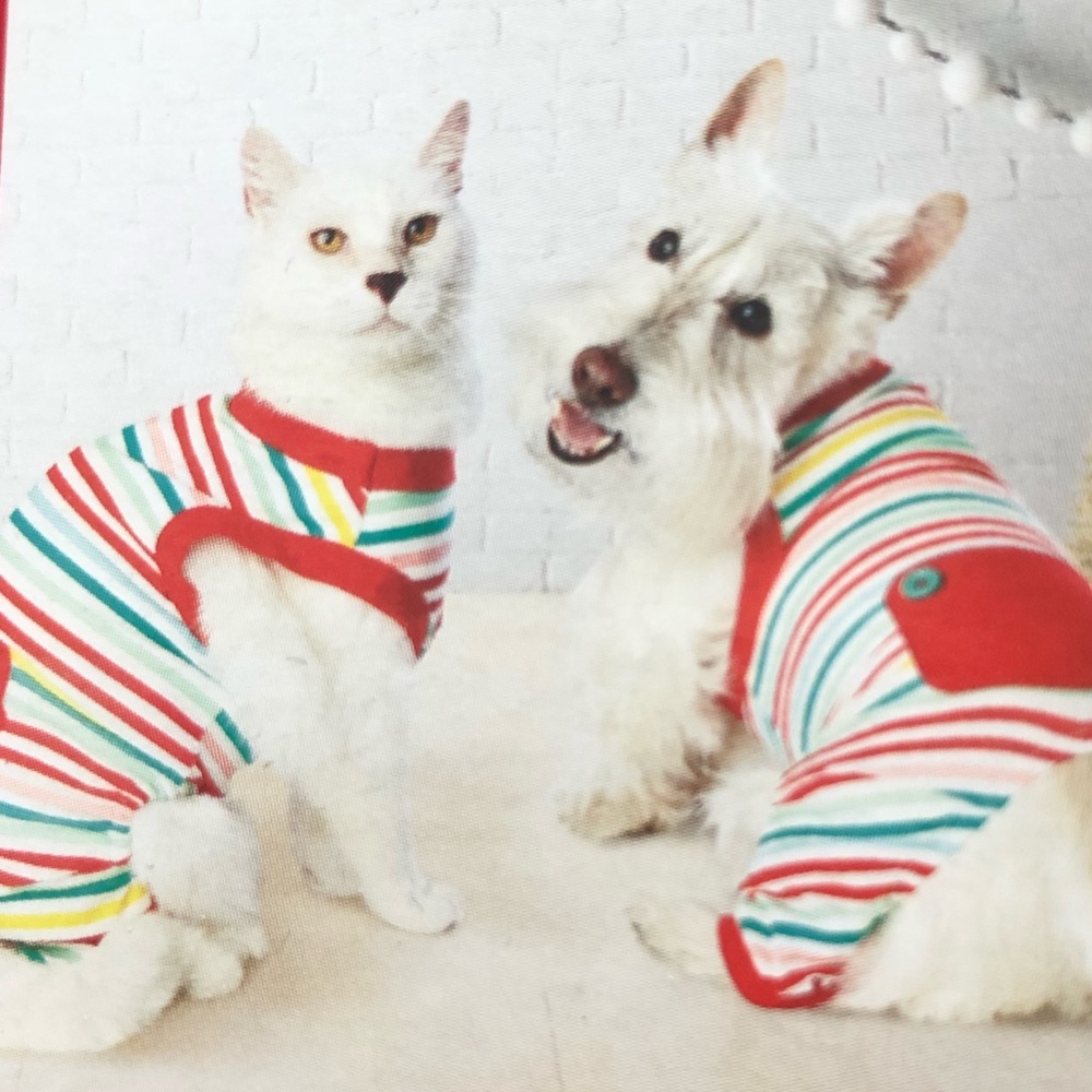 Pet Pajamas from Target